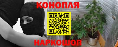 спайс Дубна