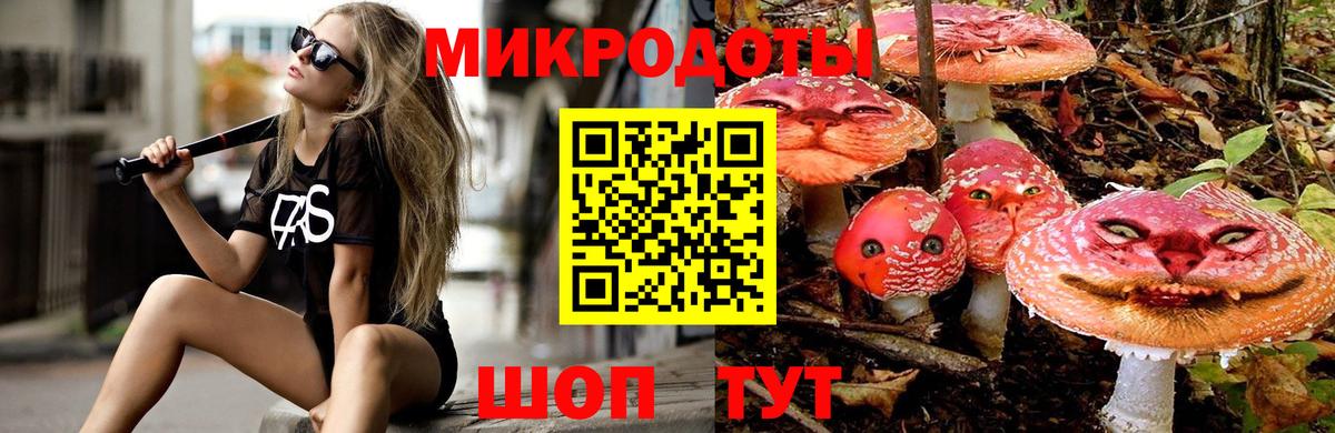 Галлюциногенные грибы GOLDEN TEACHER  Галлюциногенные грибы Magic Shrooms  Вход с VPN  Махачкала 